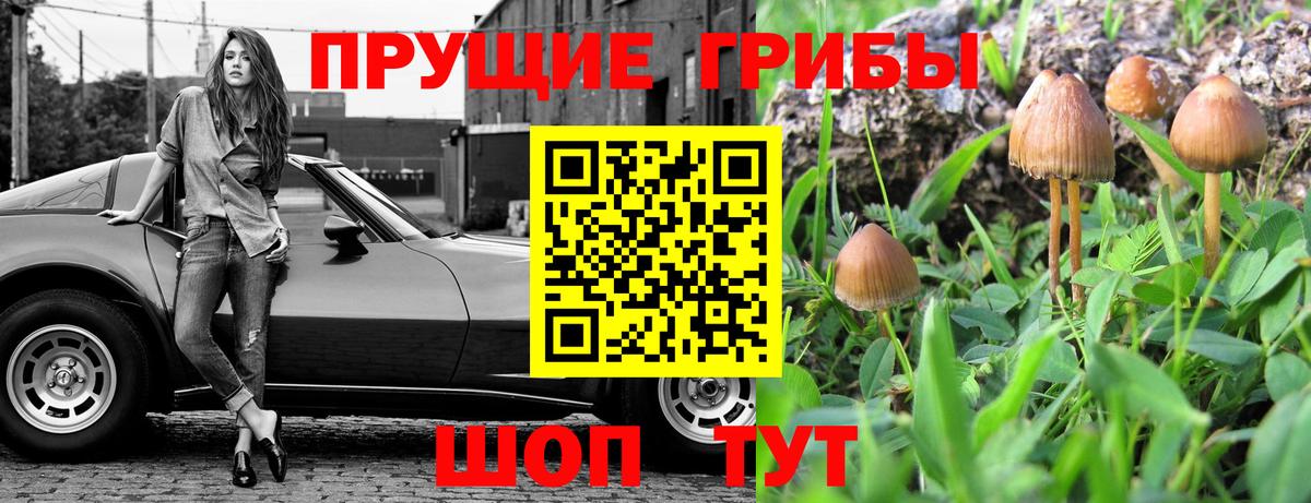Галлюциногенные грибы мухоморы  как найти   Елец  Вход с VPN  Псилоцибиновые грибы GOLDEN TEACHER 