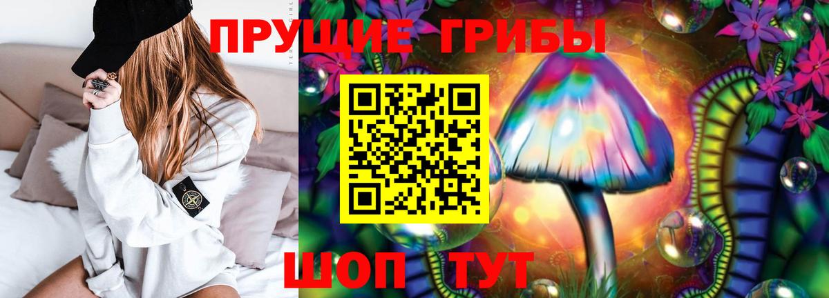 Галлюциногенные грибы мицелий Елец